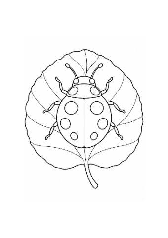 Small presentation of Ladybird on a Round Leaf, an actual outline illustration