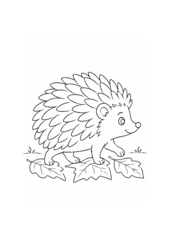 Small presentation of Hedgehog on the Leaf Path, an actual outline illustration