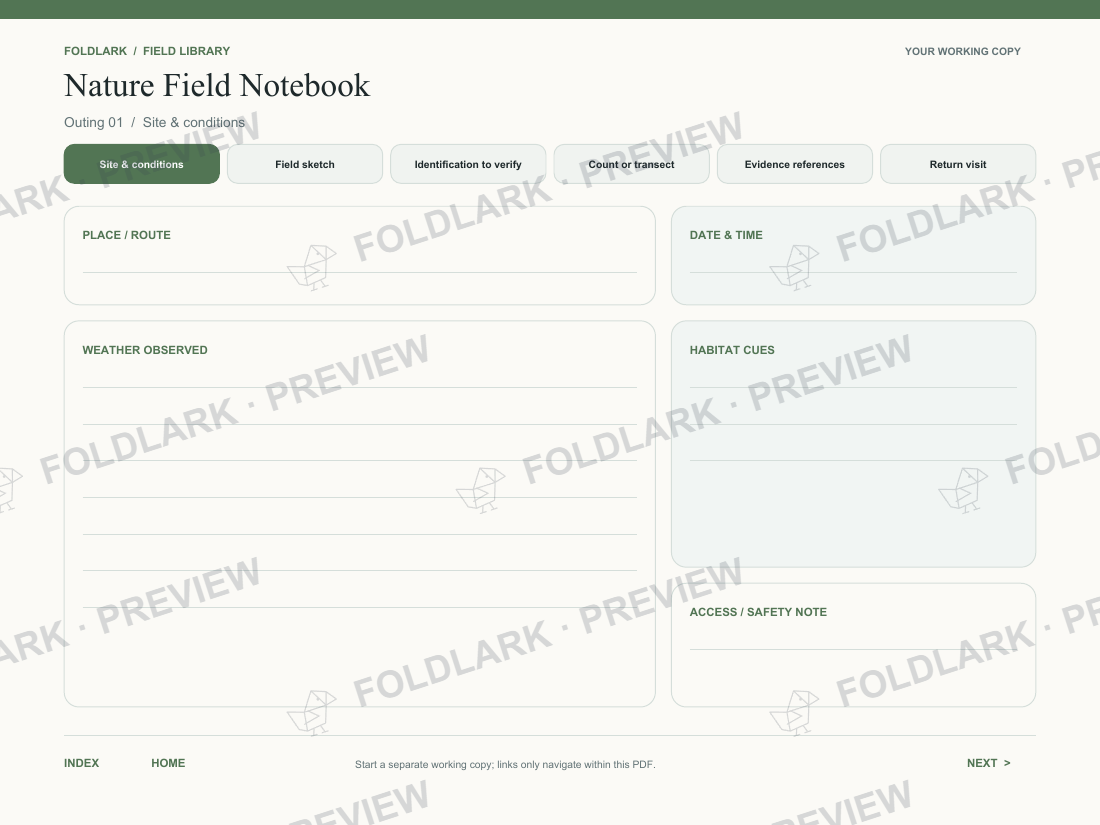 Site & conditions: actual marked preview