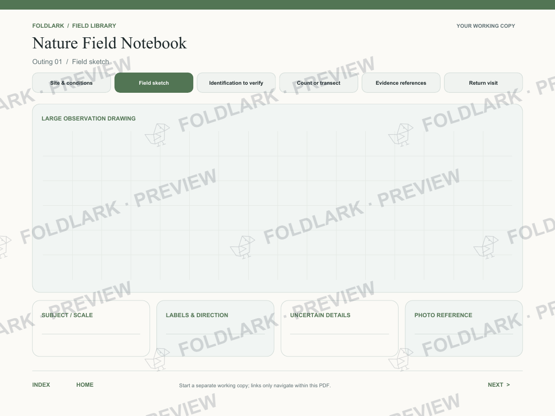 Field sketch: actual marked preview