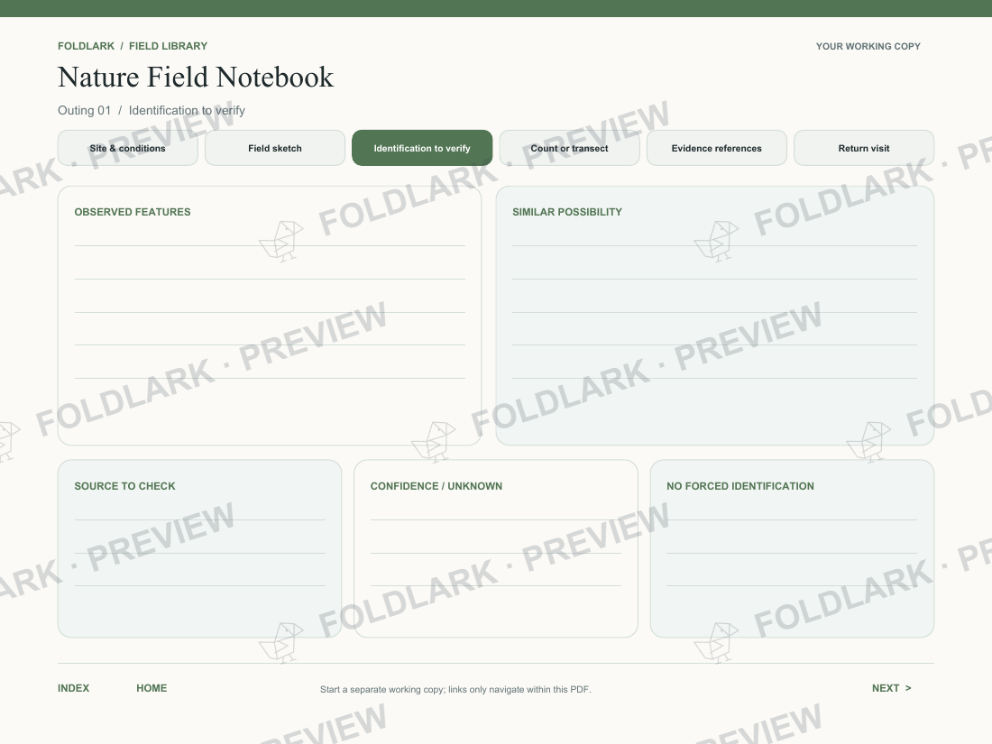 Identification to verify: actual marked preview